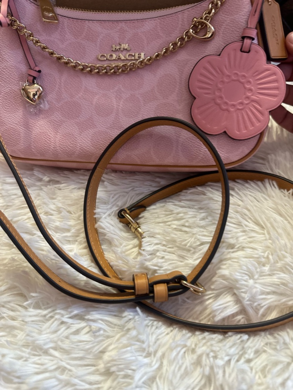 SOLD!!! Coach Teri Shoulder Bag in powder Pink with Charms - Picture 9 of 11